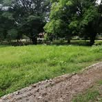 Profile Picture of Verdugo Torres (@Verdugo-Torres) on Facebook