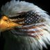 Profile Picture of David Breeden (@david.breeden.1238) on Facebook