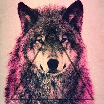 Profile Picture of Damian Gaspar (@damiangaspar12) on Twitter