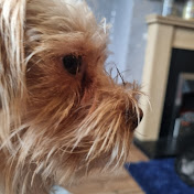 Profile Picture of Andrew Darbyshire (@andrewdarbysire) on Youtube