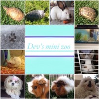 Profile Picture of Devan Curtis (@devan-curtis) on Quora