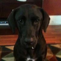 Profile Picture of Brian Mauk (@brian-mauk) on Quora