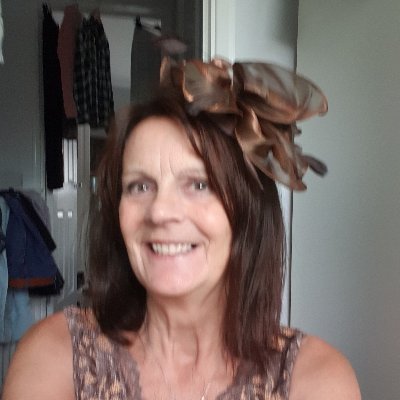 Profile Picture of Diane Louise Harman (@DianeLouiseHar1) on Twitter