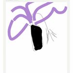 Profile Picture of Eric Schar (@ericschar) on Instagram