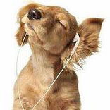 Profile Picture of Stuart Sheinhait (@stuart.sheinhait) on Facebook