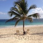 Profile Picture of Cindy Widner (@cindywidner) on Instagram