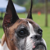 Profile Picture of Louise Watson (@TazraAndFriends) on Youtube