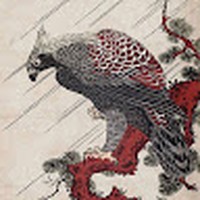 Profile Picture of Alex Traylor (@alex-traylor-8) on Quora