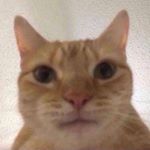 Profile Picture of fart (@ness_linh) on Instagram