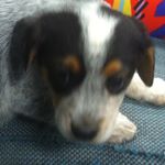 Profile Picture of Tristan Hanson (@tristan_hanson_123) on Instagram