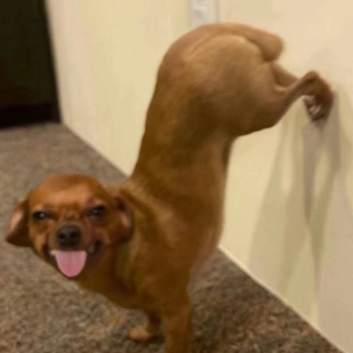 Profile Picture of emmma_scotttt (@emmma_scotttt) on Tiktok