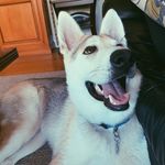 Profile Picture of Maverick James Colbert (@life.of.the.mav) on Instagram