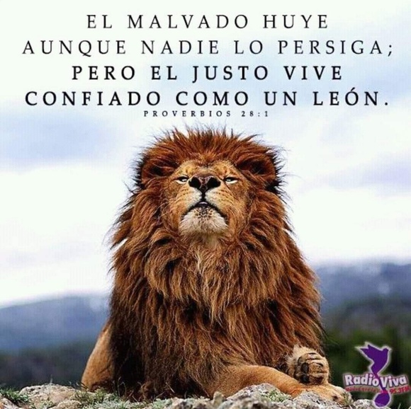 Profile Picture of Javier Mares (@seram76) on Poshmark