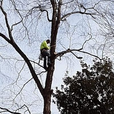 Profile Picture of James Habets (@HabetsJames) on Twitter