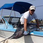 Profile Picture of Mark Bowman (@Mark Bowman 52) on Flickr