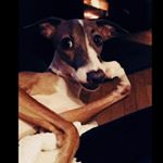 Profile Picture of julia labelle (@julia.t_labellee) on Instagram