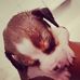 Profile Picture of Thor Scott (@thor.scott.37) on Facebook