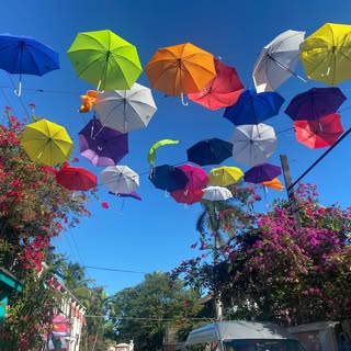 Profile Picture of DorieP (@doriephillips) on Instagram