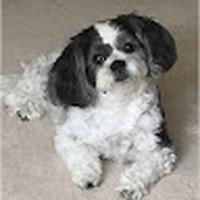 Profile Picture of Sandra Lear (@sandra-lear-7) on Quora