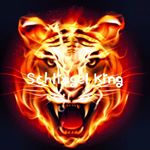 Profile Picture of schlingelking (@adamseibel9054) on Instagram