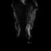 Profile Picture of Zauberbazar shop (@jalalitop) on Pinterest