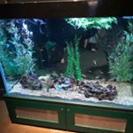 Profile Picture of Addison Yang (@addison.yang.7146) on Instagram