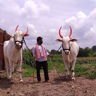 Profile Picture of Gajanan (@Gajanan) on Facebook