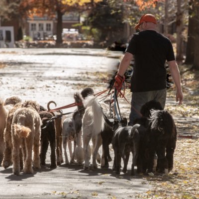 Profile Picture of Dog Guy John (@JohnBogart2) on Twitter