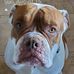 Profile Picture of Chad Haas (@chad.haas.3) on Facebook