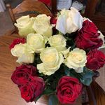 Profile Picture of Stacy Woolsey Hedrick (@srshedrick) on Instagram