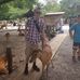Profile Picture of Joseph Todd (@joseph.todd.9235) on Facebook