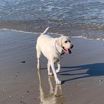 Mike Okamura - Instagram Profile Picture of Mike Okamura (@mikeokamura) on Instagram