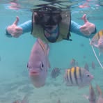 Profile Picture of Pamela Light (@Pamela-Light) on Facebook