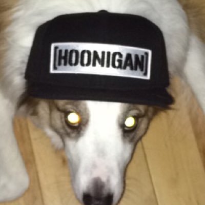 Profile Picture of Michael Risley (@michael_risleyy) on Twitter