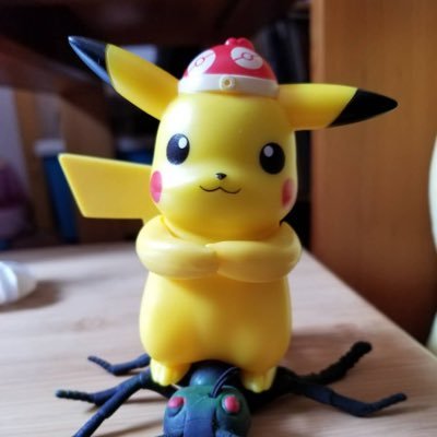 Profile Picture of Yun Xia (@SharonXia331) on Twitter