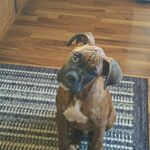 Profile Picture of Fred Judge (@fred.judge.39) on Instagram