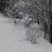 Profile Picture of Crystal Palmer (@crystalpalmer9577) on Youtube