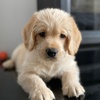 Profile Picture of Bobby Ruffus (@@bobby_ruffus) on Tiktok