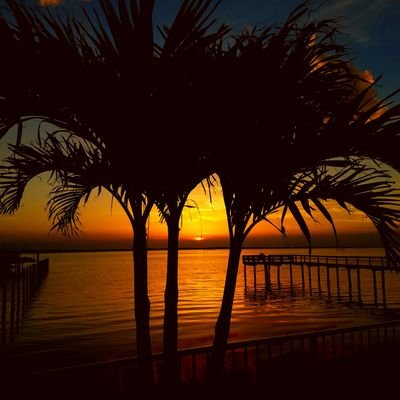 Profile Picture of Tim Walters (@indytwo) on Twitter