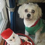 Profile Picture of james coumbes (@jamescoumbes) on Instagram