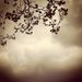 Profile Picture of Halima Qureshi (@halima0174) on Pinterest