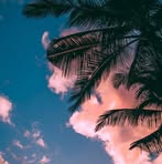 Profile Picture of David Smolen (@david.smolen.520) on Facebook