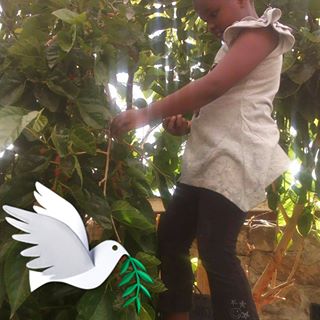 Profile Picture of Benard Chege (@mark.chege.5) on Facebook