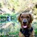 Profile Picture of Jo Moser (@joann.moser.56) on Facebook