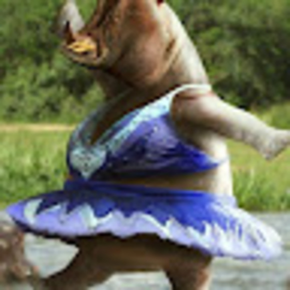 Profile Picture of Chris Weisbrot (@chrisweisbrot) on Poshmark