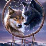 danthemicorwaveman - Instagram Profile Picture of danthemicorwaveman (@james_daniel_worthey_) on Instagram