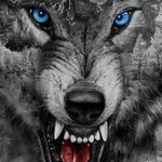 Profile Picture of George Wolfenden (@wolfendengeorge) on Instagram