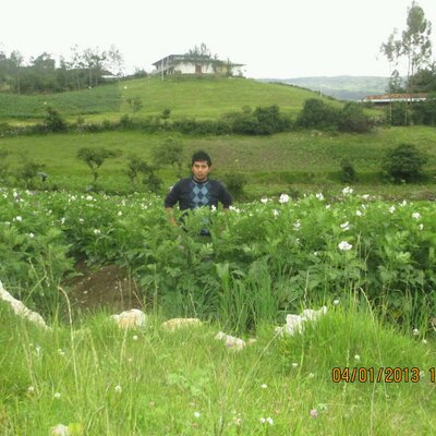 Profile Picture of Luis Plasencia (@luisplasencia50) on Twitter