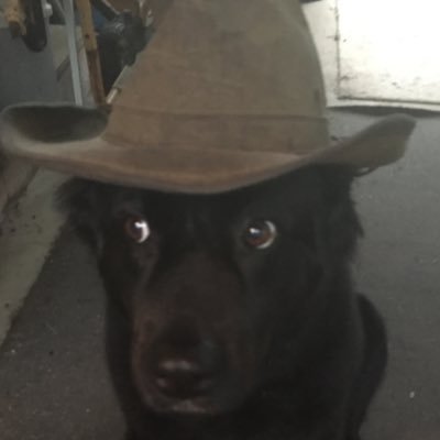Profile Picture of Smokey Joe (@Eric_L_Berman) on Twitter