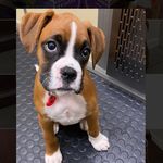 Profile Picture of Julie Preston (@juliepreston1705) on Instagram